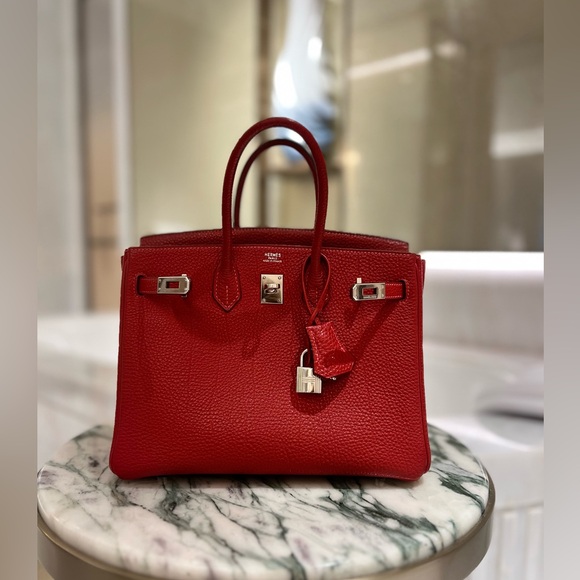 HERMES Togo Birkin 25 with Palladium Hardware - Picture 6 of 16